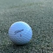 シーズーゴルフ