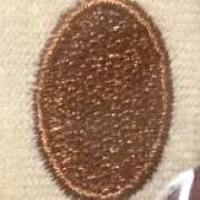 プロ