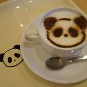 ミルコの画像