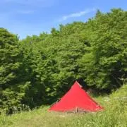あおの画像