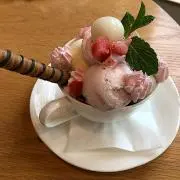 たかの画像