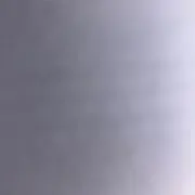 カニの画像