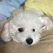 もりぞー