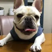 タックル