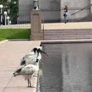 65536の画像