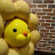 ぽむた☆の画像
