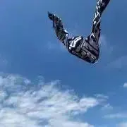 るるんの画像