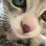 ✩°。⋆の画像