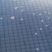lrlr