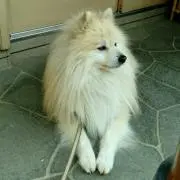 hegurikimuraの画像