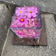 は〜ちゃん