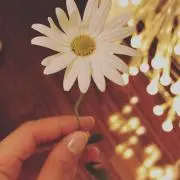 ishegeの画像