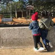 Tmam@プロフ必読