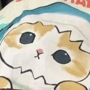 きゃびこピロリ菌