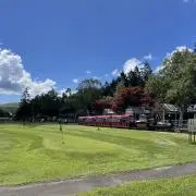 mskの画像