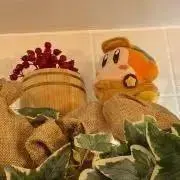 めんこ