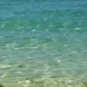 tonの画像