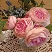 ニーナの画像
