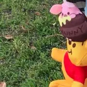 のんすーの画像