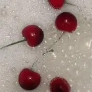 きららの画像