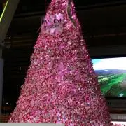 ゆんゆんの画像