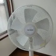 FAN TERIOR