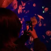 えす