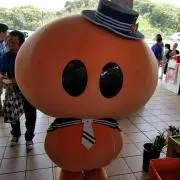 ゆっちさんの画像