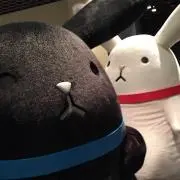 Namiの画像