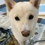 みやお◯無言取引✖︎の画像