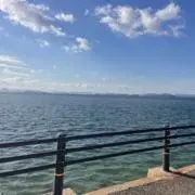 youの画像