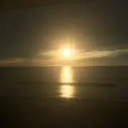 tkの画像