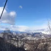 フクダの画像