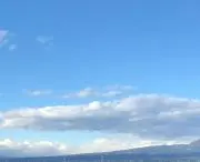ほうじ茶の画像