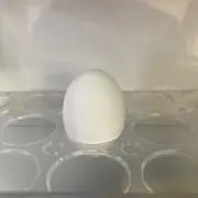ぐっと堪え丸の画像