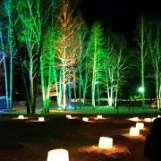 miyucoTの画像