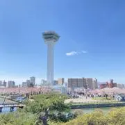 りっこの画像