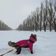 ニコニコの画像
