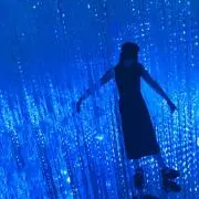 MSTの画像