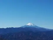 アカイスイセイの画像