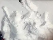 tomo