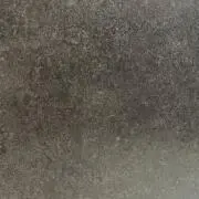 COO（プロフ必読　）
