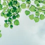 まったり断捨離中♪の画像