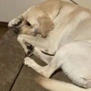 なっちょんの画像