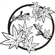 かずのこ