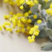 ともにい