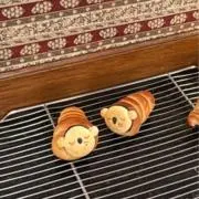 たろたろの画像