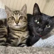 MAR and LENEの画像