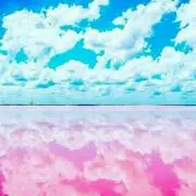 ちぃの画像