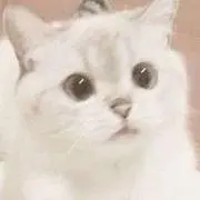 ひまり✿購入はプロフ必読 代理購入❌の画像